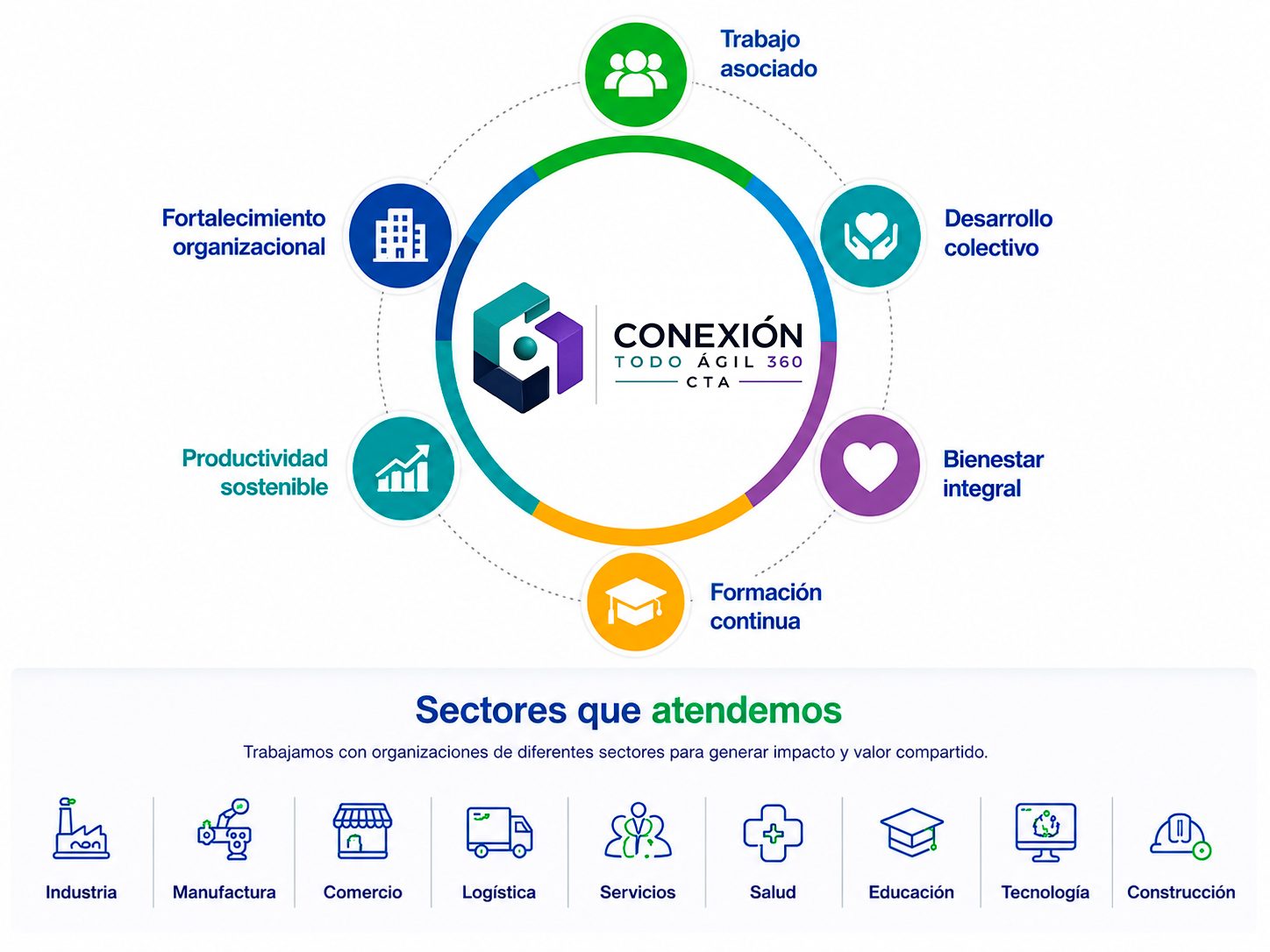 360info